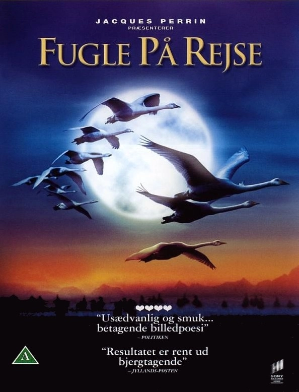 Fugle på rejse