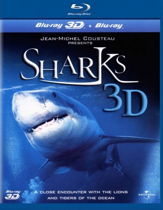 Sharks 3D