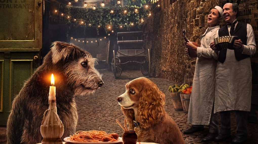 disney Plus Lady og Vagabonden plakat / Filmz.dk